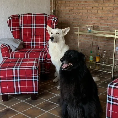 Ostfreesenhuus Vier Pfoten 펜션